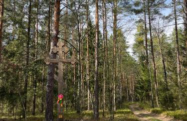 Wiluki Nasz Dom - Foto 13