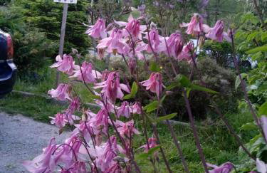 Agroturystyka U Baltazara - Foto 7