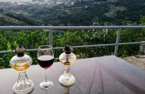 Douro Balcony - Foto 42