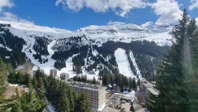 La spatule - Photo 2