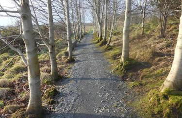 South Lake House - 300m to South Lake Leisure Centre - Foto 31