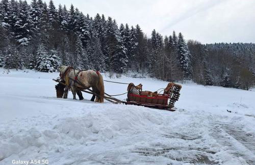 Rajski Zakątek - jeden domek na działce z gorącą balią i mini ZOO - Foto 68