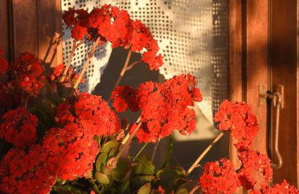 Anemos and Almyra - Foto 49