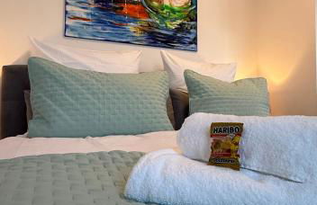 Gemütliches Apartment nähe HBF-City--Lift - Foto 20