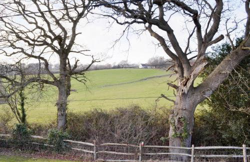 Pickdick Stable - Photo 14