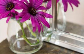 Quinta Camarena - Foto 53