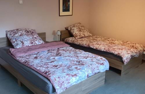 Weingut Jürgen - Lutz - Foto 10