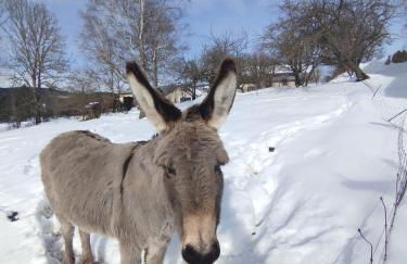 Grande maison familiale jusqu'à 14 personnes à Lans en Vercors - Foto 1