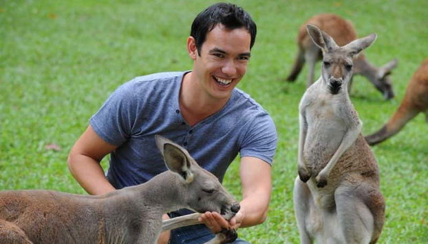 Alimentando a los canguros