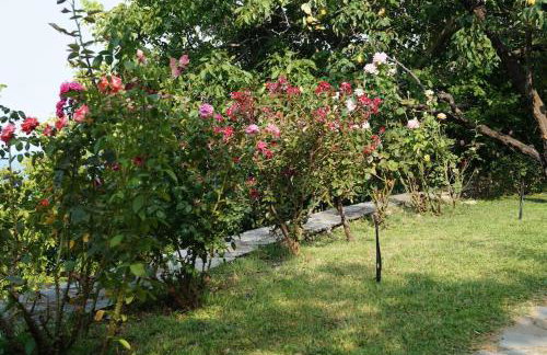 Villa Katia with Sea view, Pourion, Zagora - Photo 8