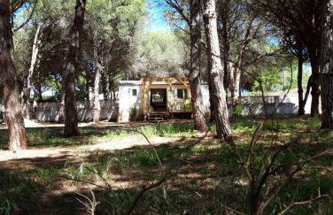 The PineForest Cabin - Foto 14