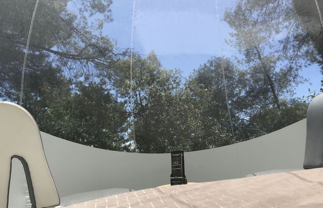 Domaine de la Tuilière - Foto 19