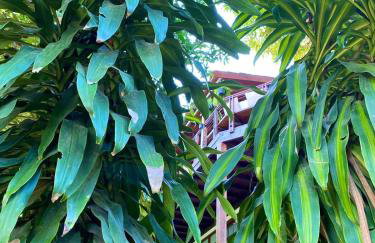 Casa Anavilhanas - Foto 57