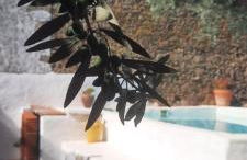 Casa Pitacas - Foto 11