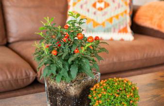 Apartamentos Montes Vindios - Foto 40