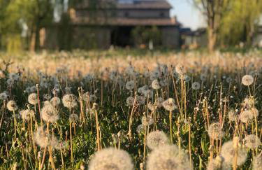 Agriturismo I Bosconi - Foto 3