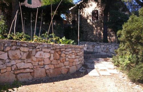 Apartmani Green Oasis - Foto 1