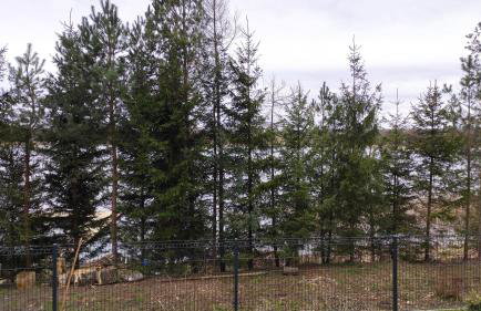 Apartamenty Klangor - Foto 69