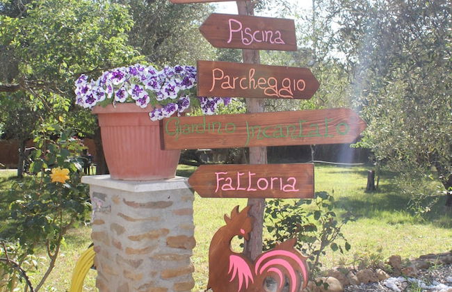 Buen Camino SSA - Foto 31