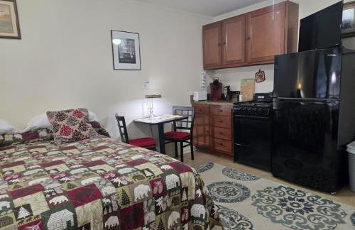 Saranac Lake Studio Apartment - Foto 9