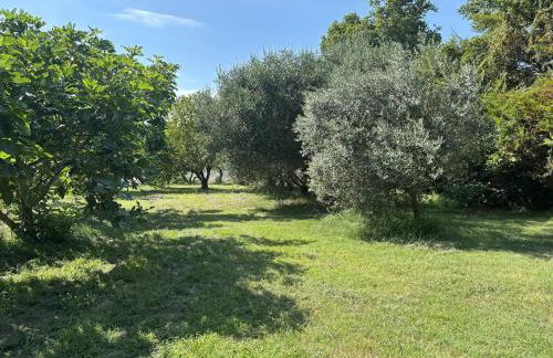 Gite dans ancien moulin - Foto 14