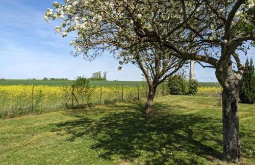 Le Coquelicot - Châlet avec SPA - Foto 26