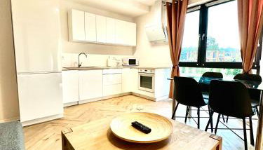 Kierunek Bieszczady - Foto 5, stove