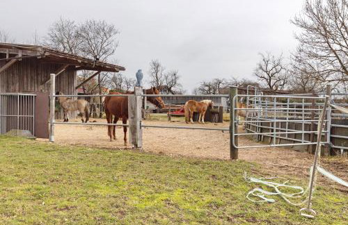 Bachbubenhof - Foto 11