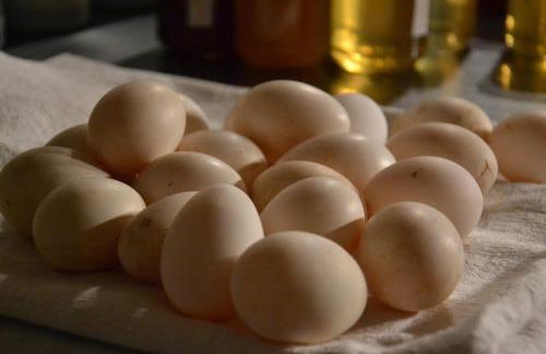 B&B Cà Bianca dell'Abbadessa - Foto 71