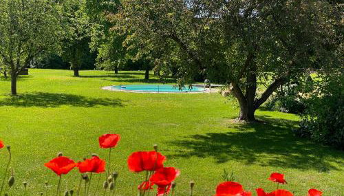 Apartment mit romantischem Garten an der Märchenstraße! - Foto 3