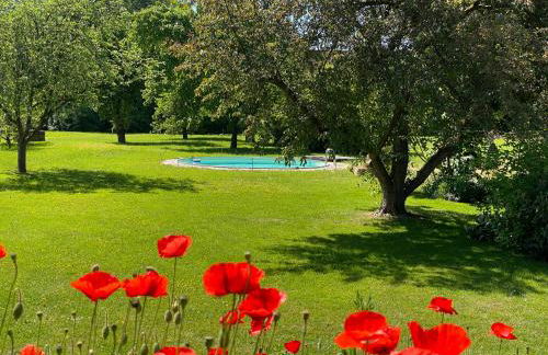 Apartment mit romantischem Garten an der Märchenstraße! - Foto 3