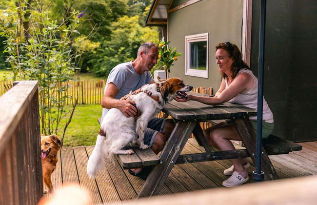 Compact Chalet With Terrace - Photo 7