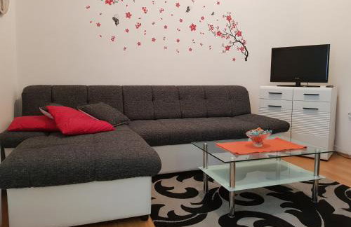 APARTMA JASMIN - Foto 16