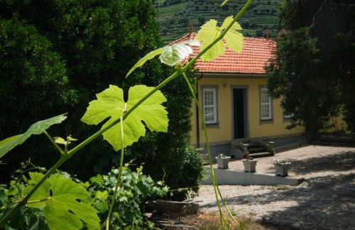 Casa de São Roque - Lamego - Foto 6