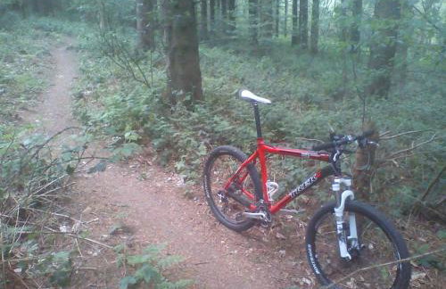 Little Sycamore - Foto 17