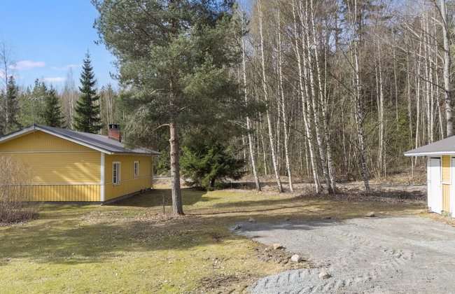 Keltavuokko - Foto 28