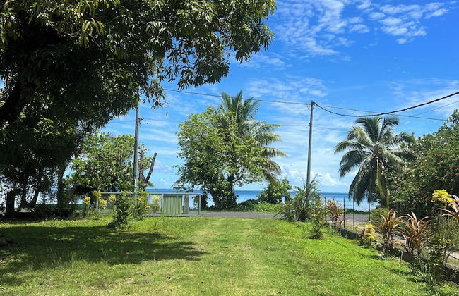 Fare Chez Franck - Photo 31