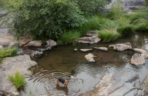 Buckeye Basecamp-Events-Family Friendly-Creek - Photo 36