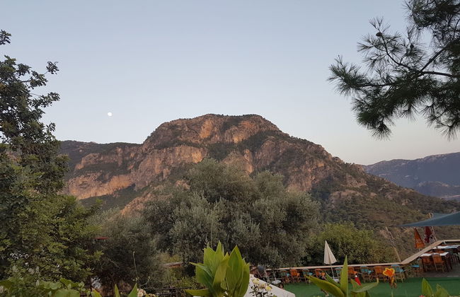 Shiva Camp - Foto 43