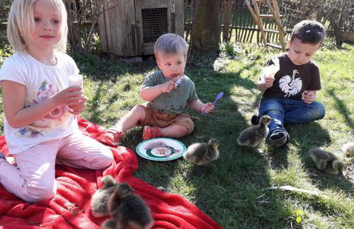 Beim Heiß'n - Photo 20