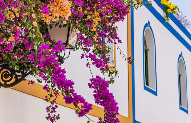 Excursión a Maspalomas, Mogán y el barranco de Guayadeque - Foto 1