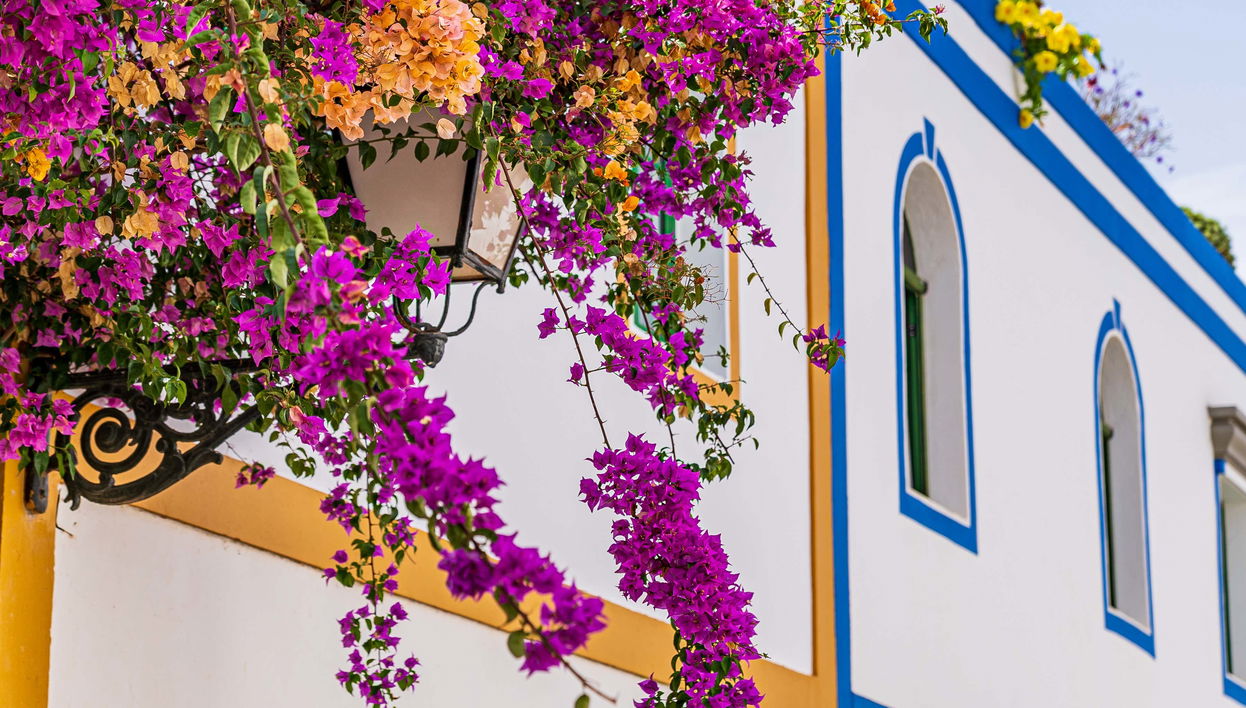 Excursión a Maspalomas, Mogán y el barranco de Guayadeque