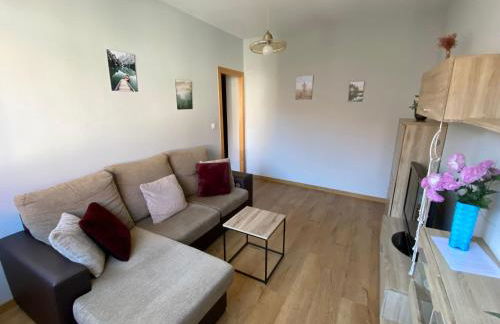 Lar dos Galos 2 - Foto 1