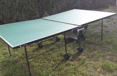 Ferienhaus Benneckenstein - Foto 21