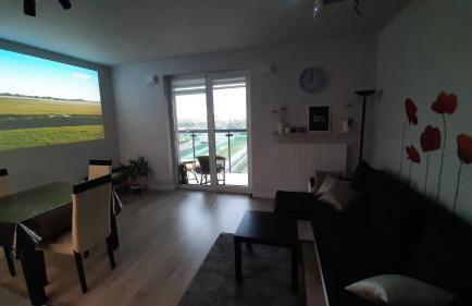 Apartament Pełka - Foto 6