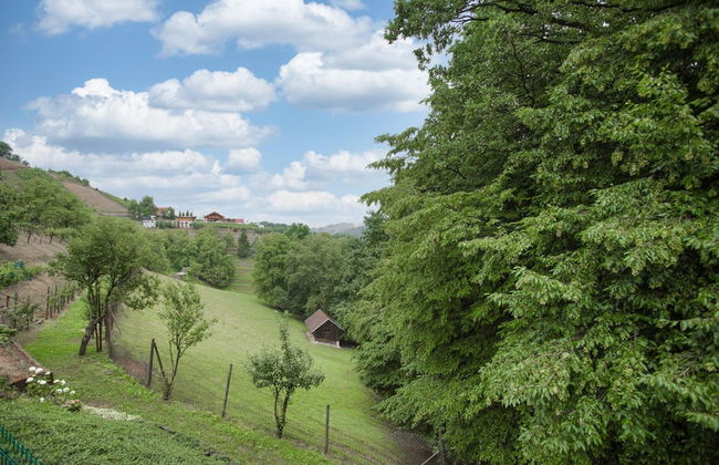 Family Friendly House Marija - Foto 38