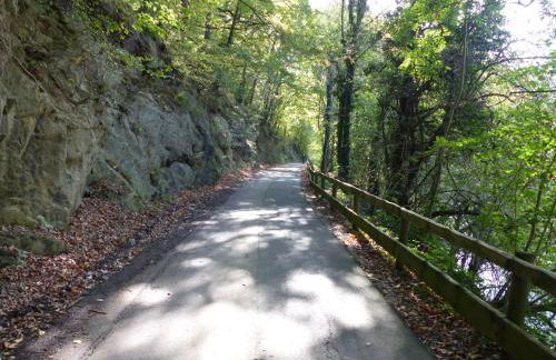 Ferienhaus Fischbachtal - Foto 19