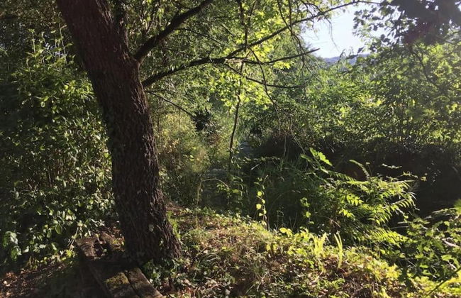 Relaxing Retreat in Orte With Pool - Foto 27