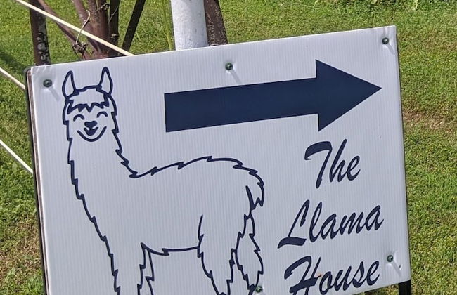 Llama House - Foto 40