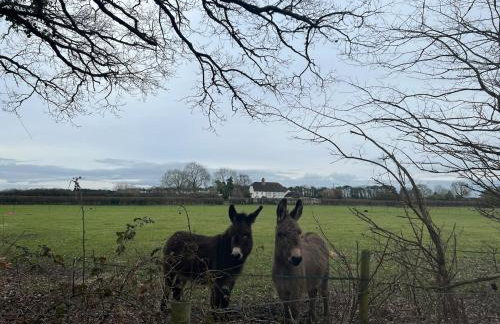 Ashbourne Cottage - Foto 52